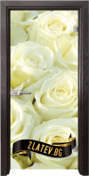 Стъклена интериорна врата Print G 13 6 Z