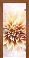 Стъклена Врата Gama Print G 13-5 Златен Дъб